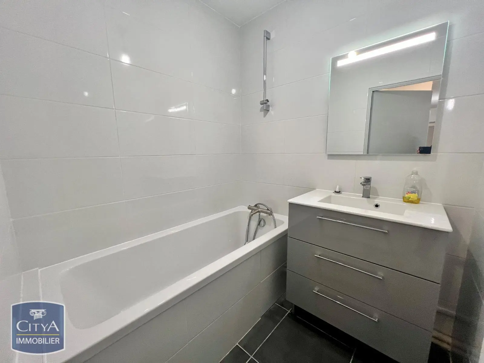 Photo 9 appartement Lyon 8e Arrondissement