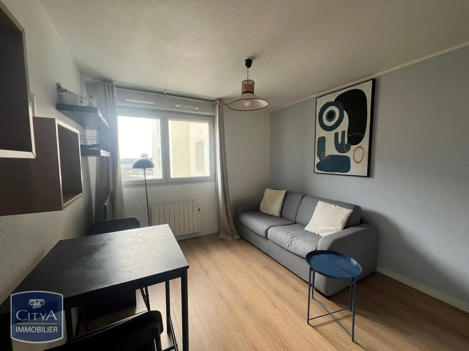 Photo 2 appartement Caluire-et-Cuire