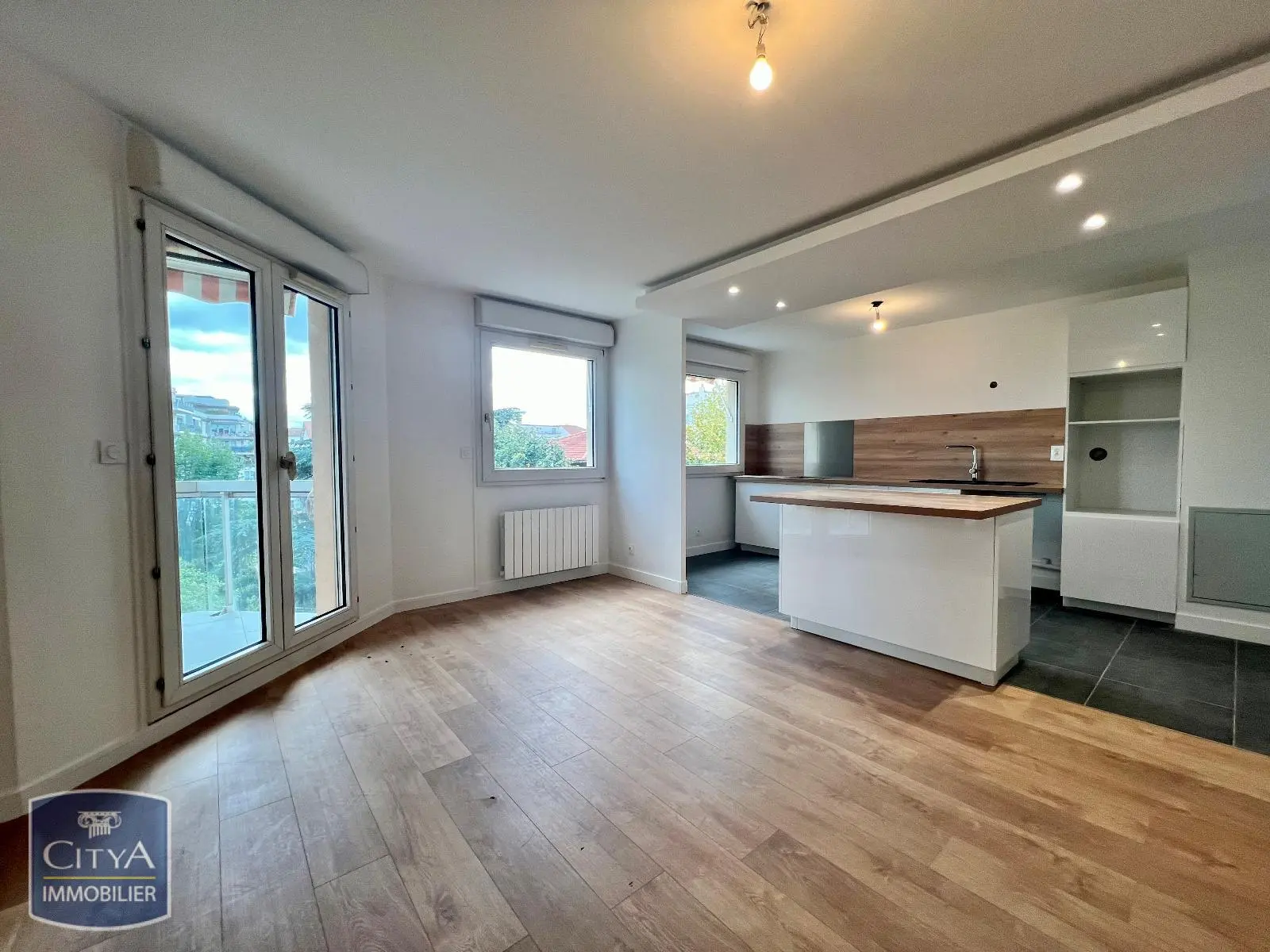 Photo 2 appartement Lyon 8e Arrondissement