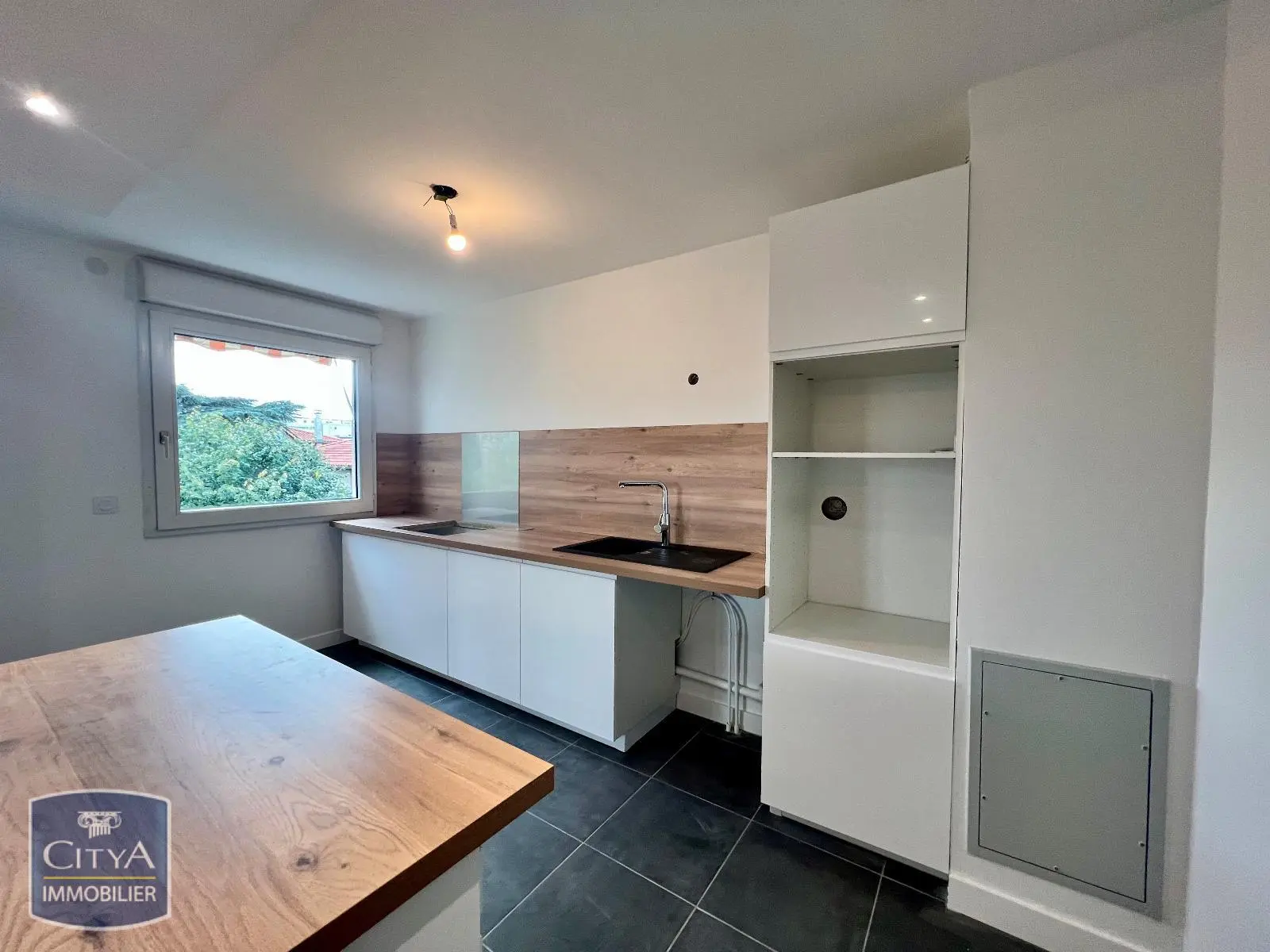 Photo 4 appartement Lyon 8e Arrondissement
