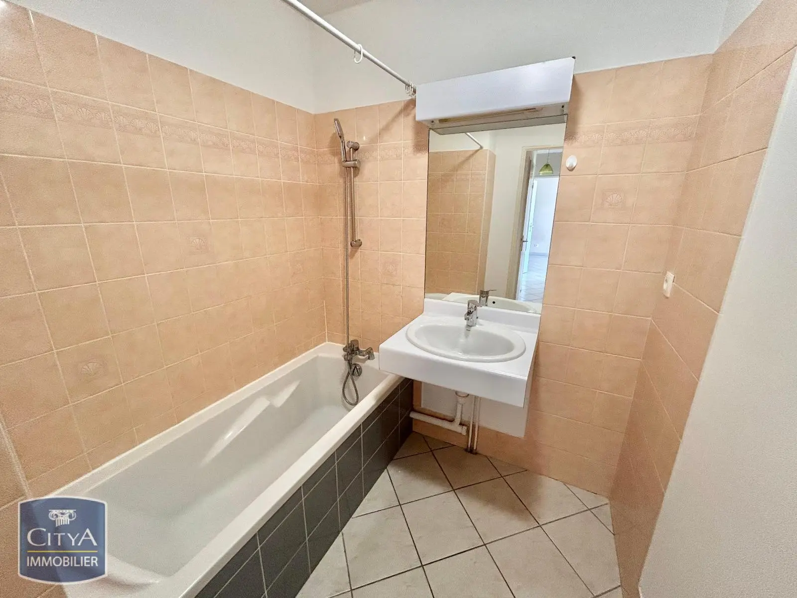 Photo 4 appartement Villeurbanne