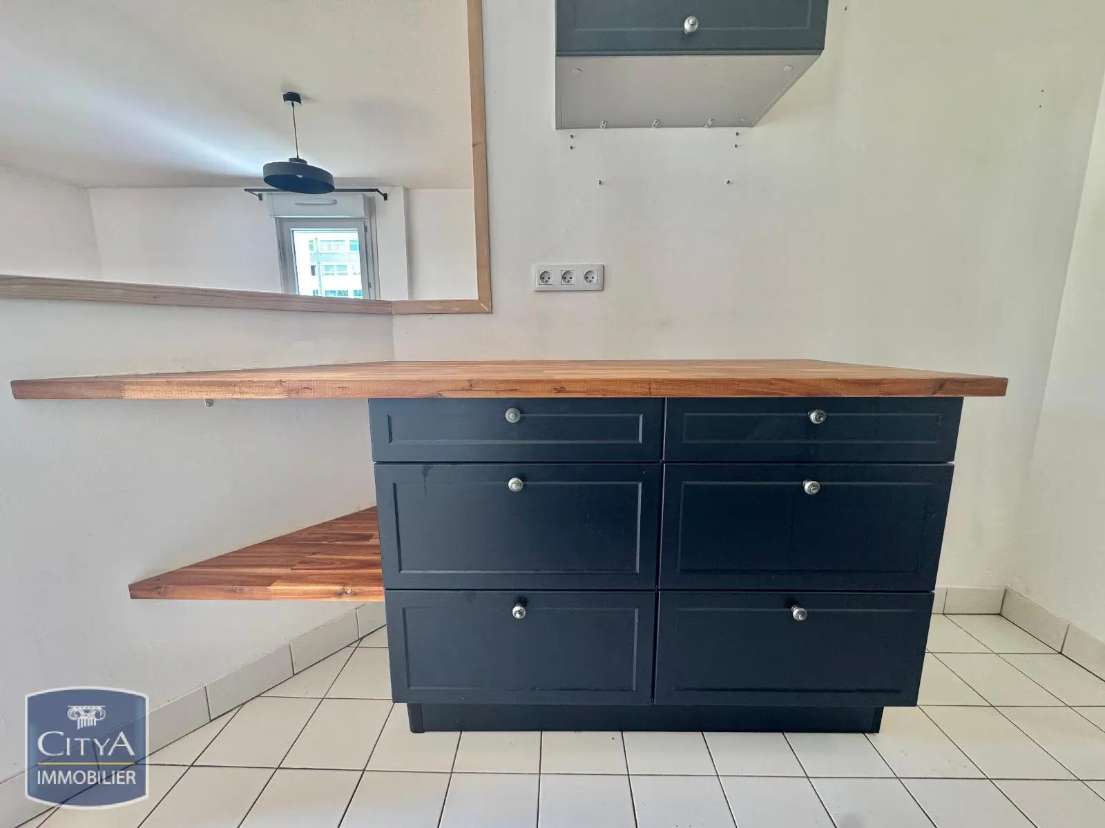 Photo 2 appartement Lyon 7e Arrondissement