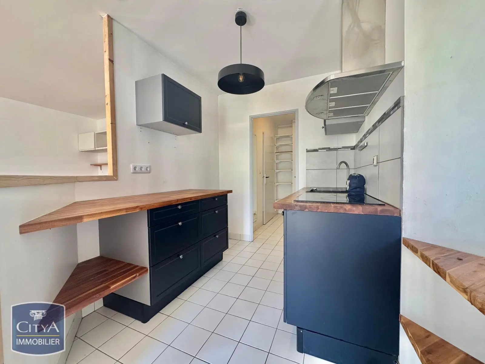 Photo 3 appartement Lyon 7e Arrondissement