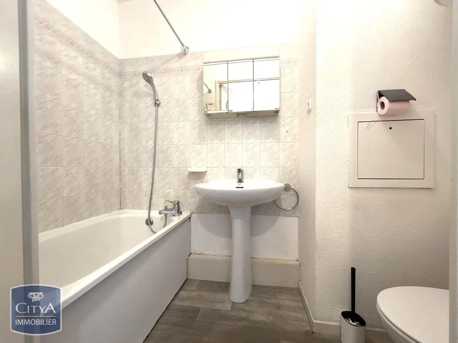 Photo 3 appartement Lyon 8e Arrondissement
