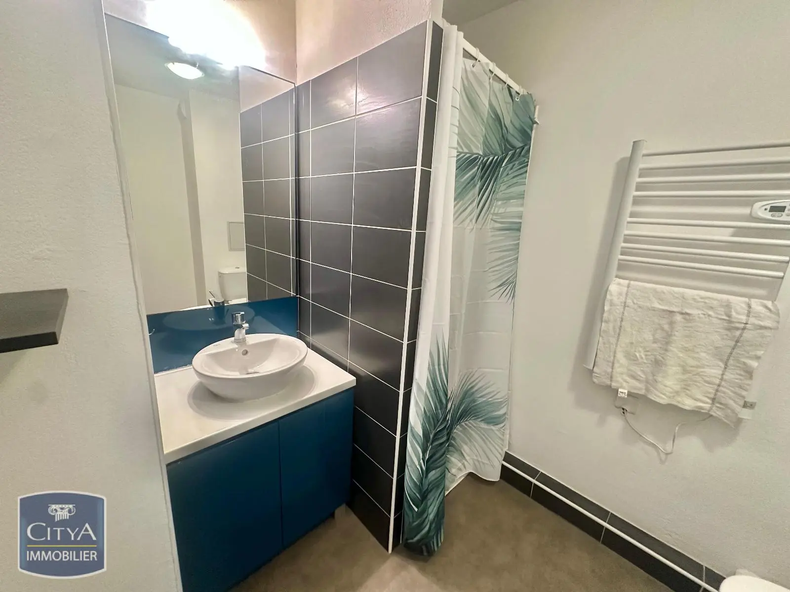 Photo 2 appartement Caluire-et-Cuire