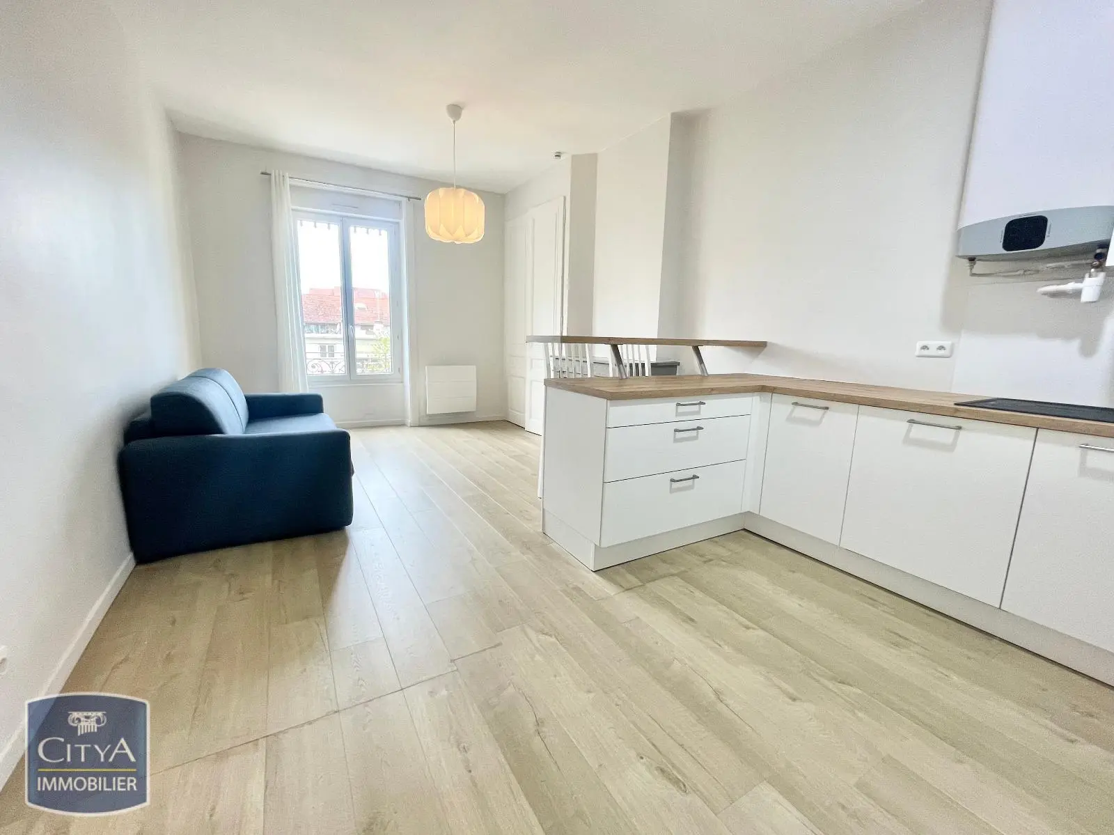 Photo 2 appartement Villeurbanne