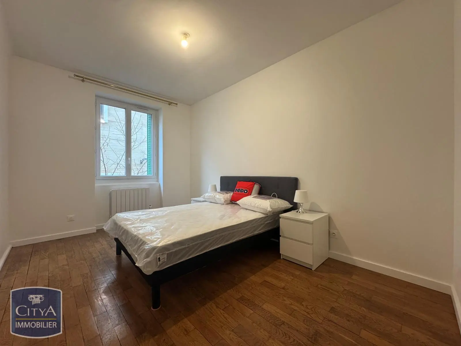 Photo 4 appartement Lyon 7e Arrondissement