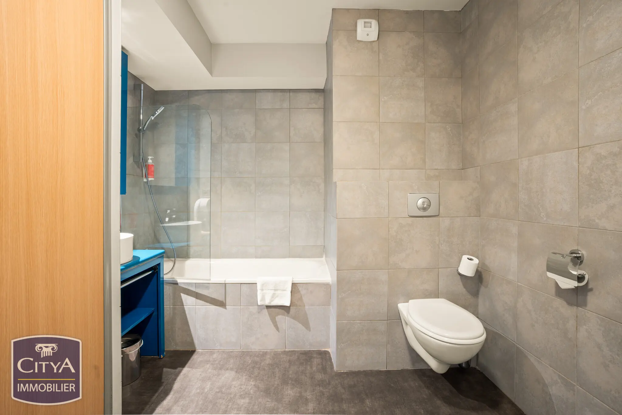 Photo 6 appartement Caluire-et-Cuire