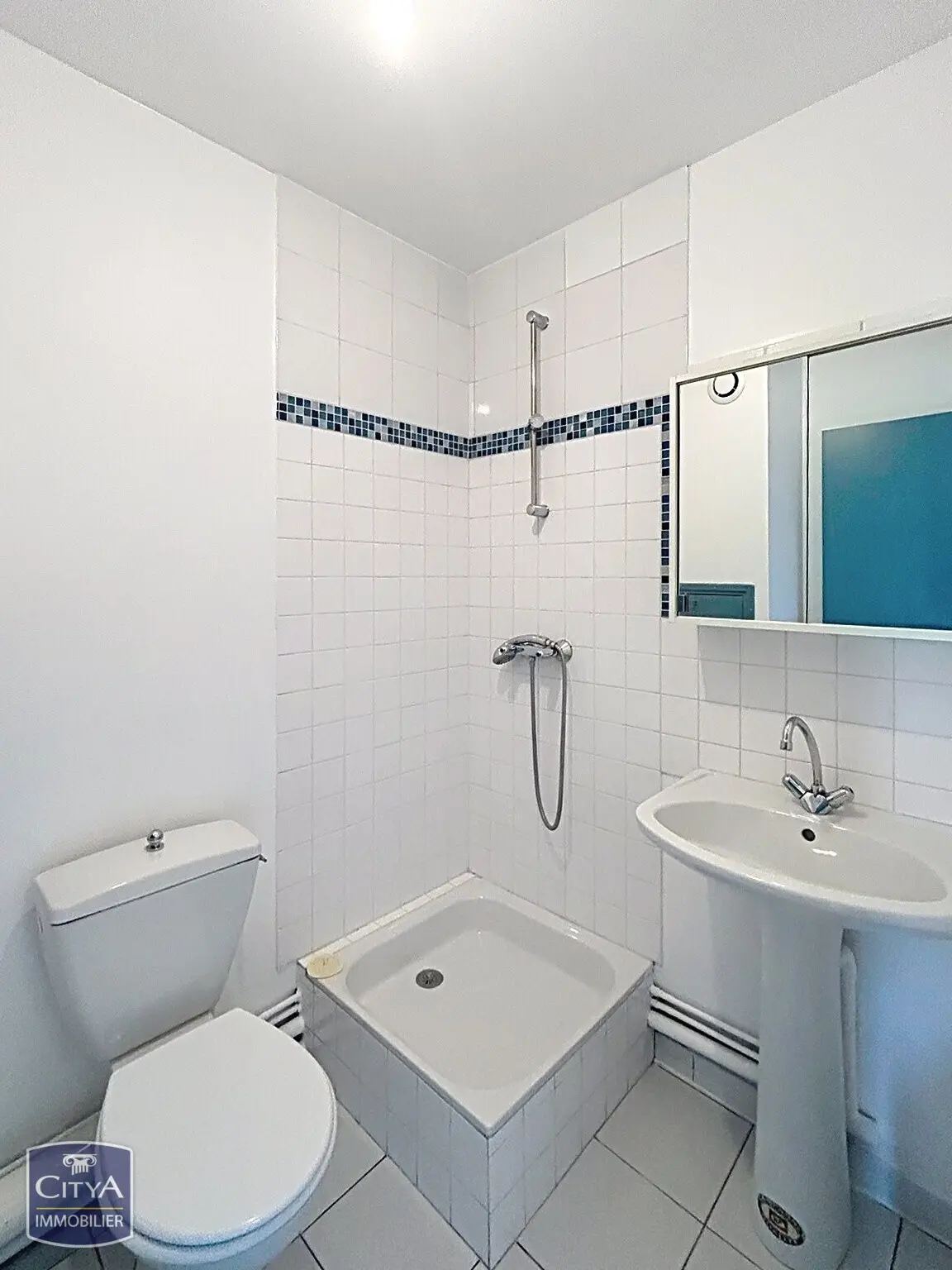 Photo 7 appartement Lyon 8e Arrondissement