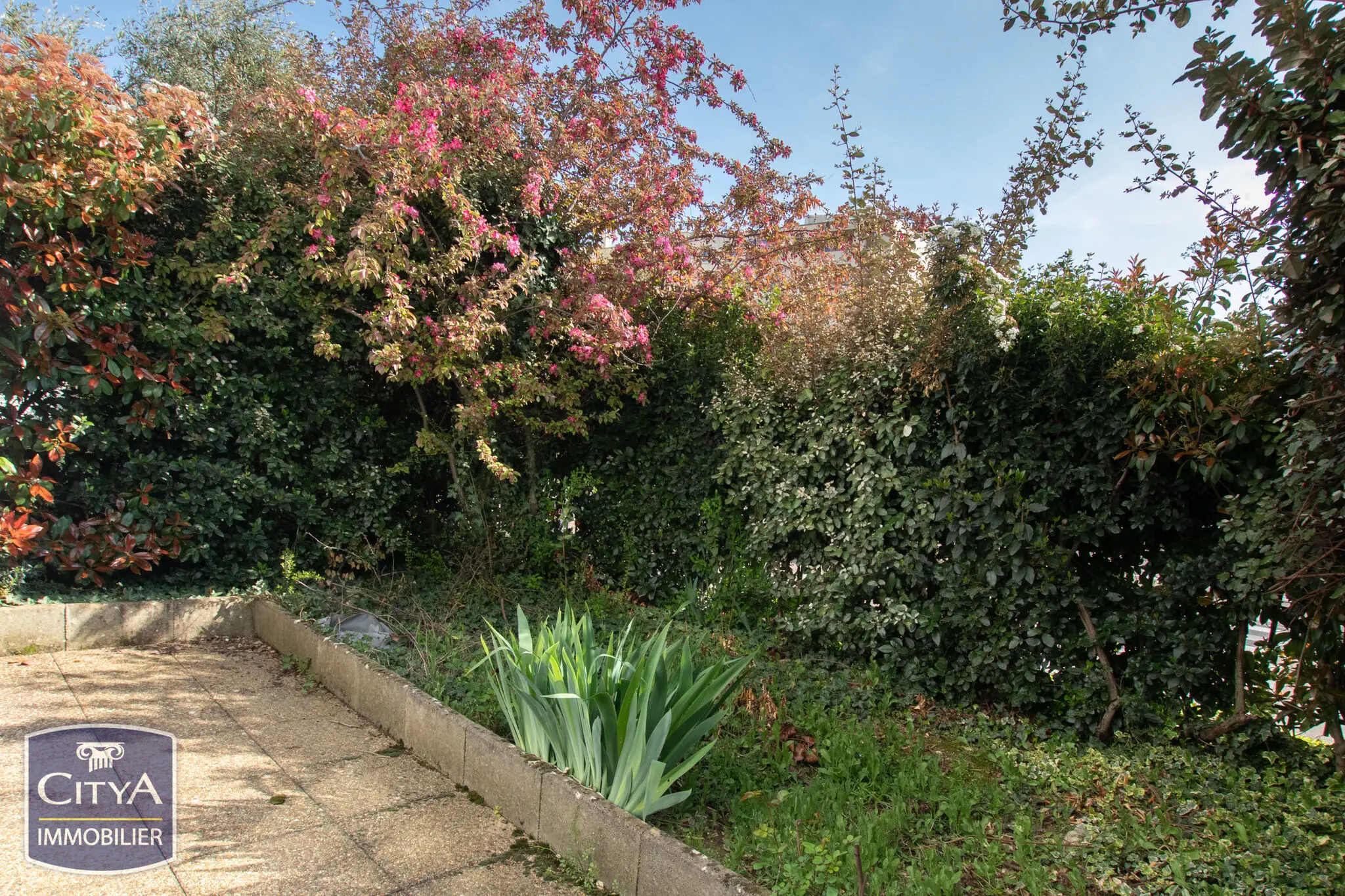 Photo 7 appartement Villefranche-sur-Saône