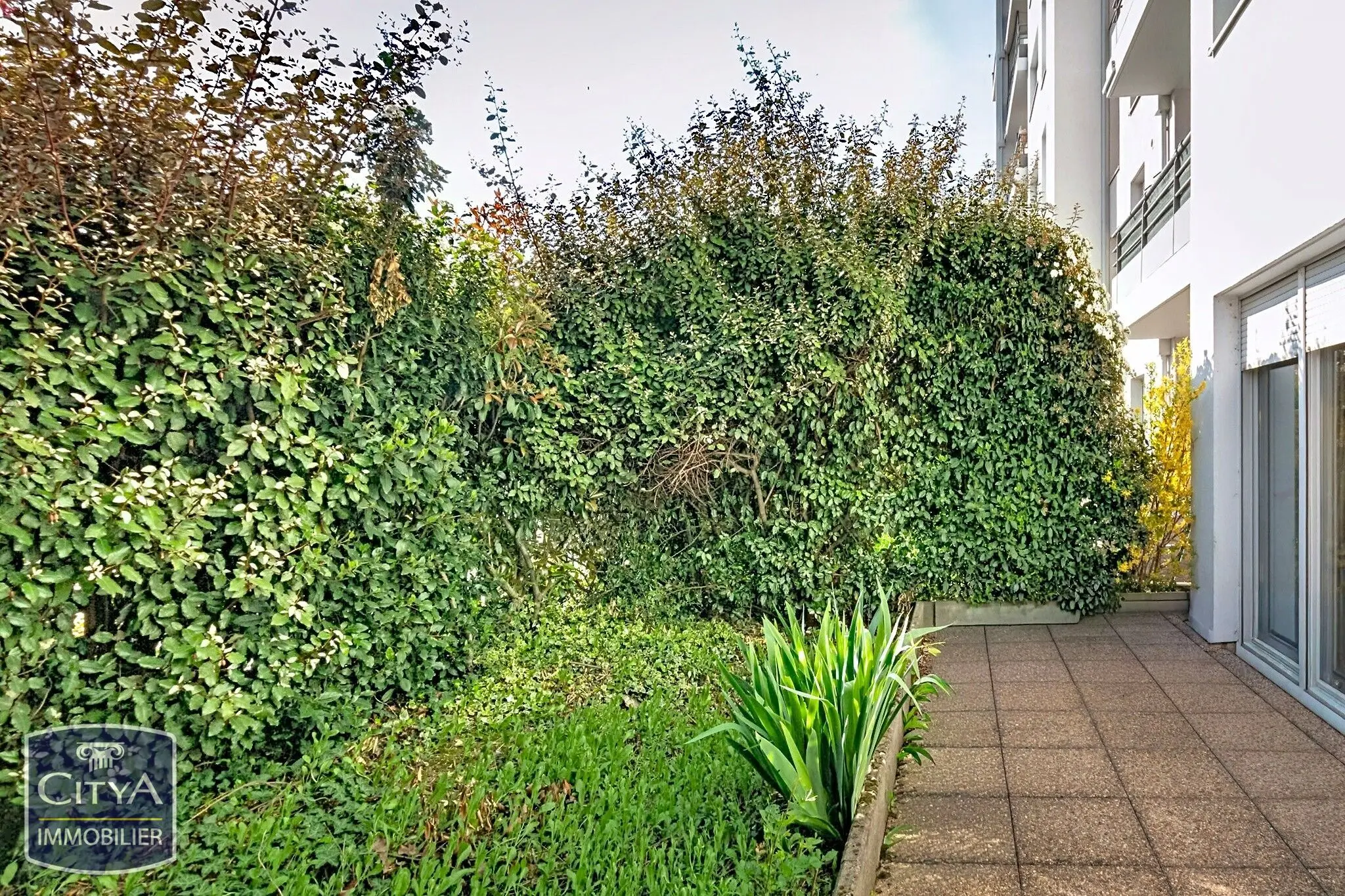 Photo 6 appartement Villefranche-sur-Saône