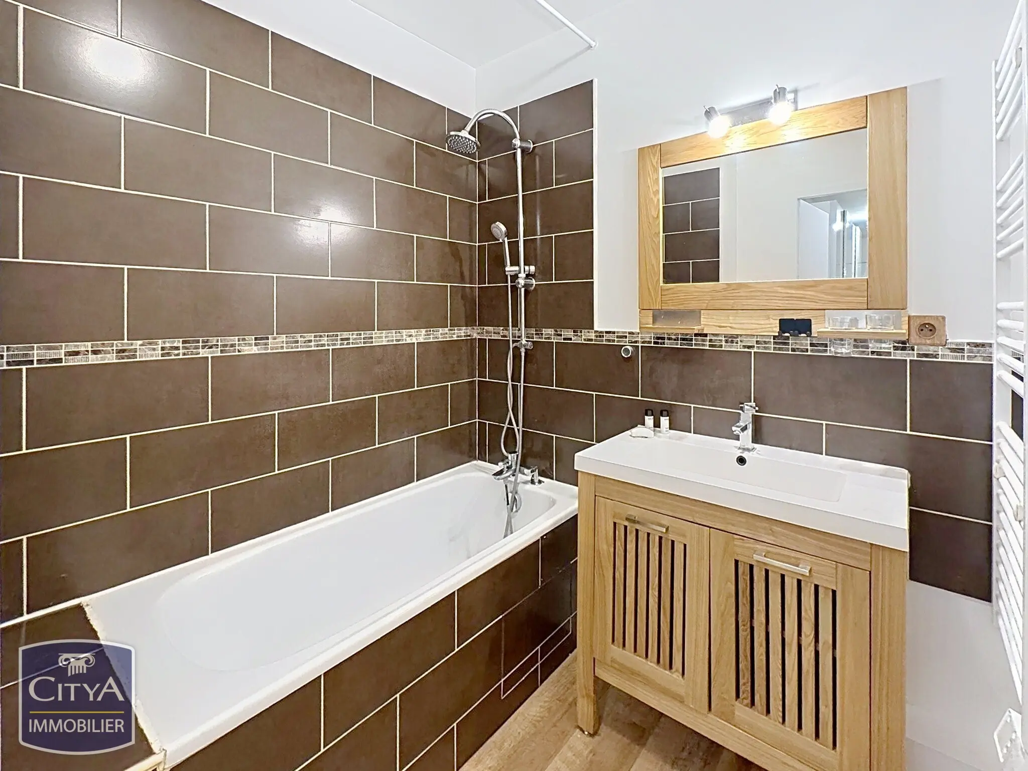 Photo 8 appartement Villeurbanne