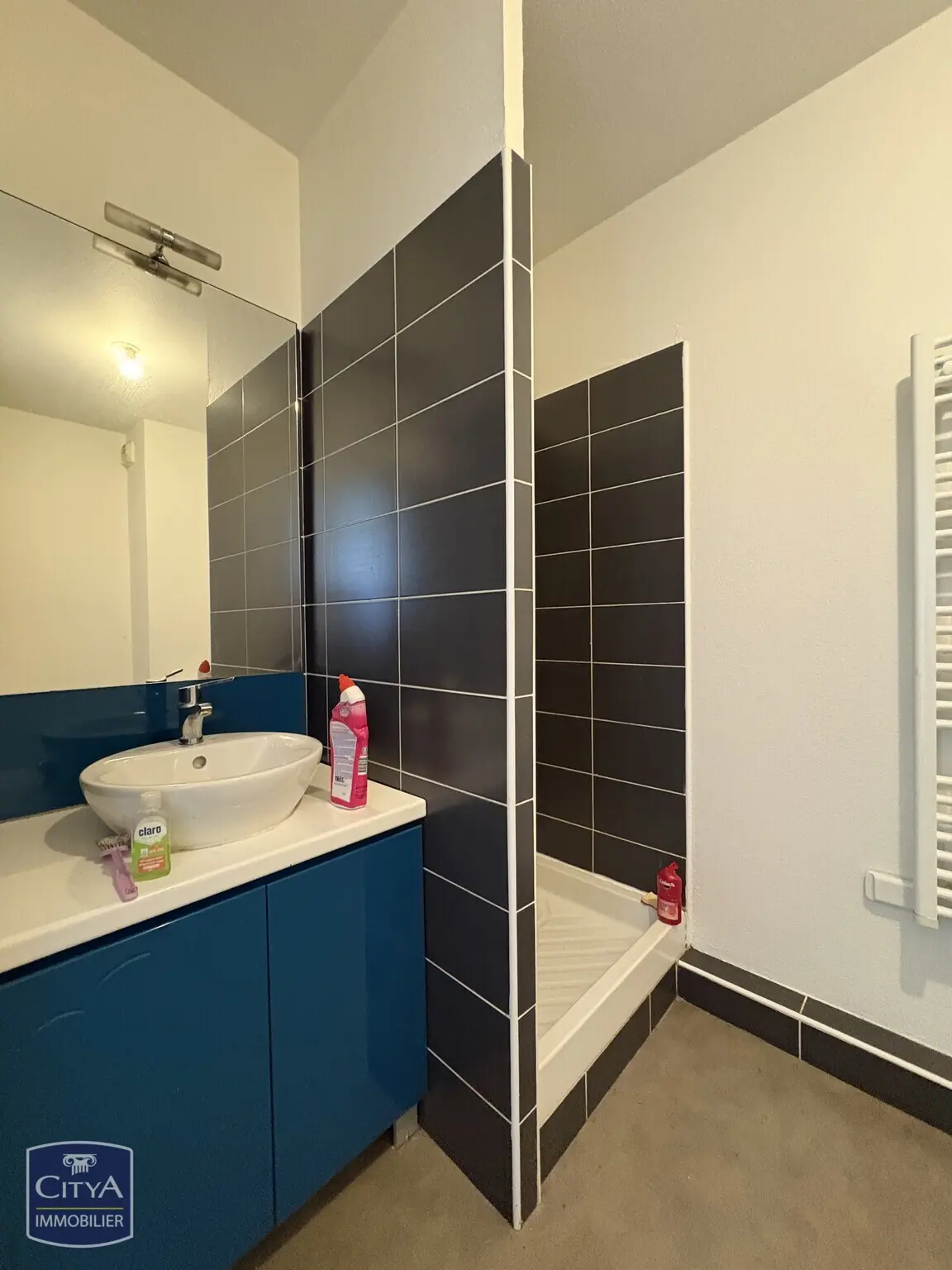 Photo 2 appartement Caluire-et-Cuire