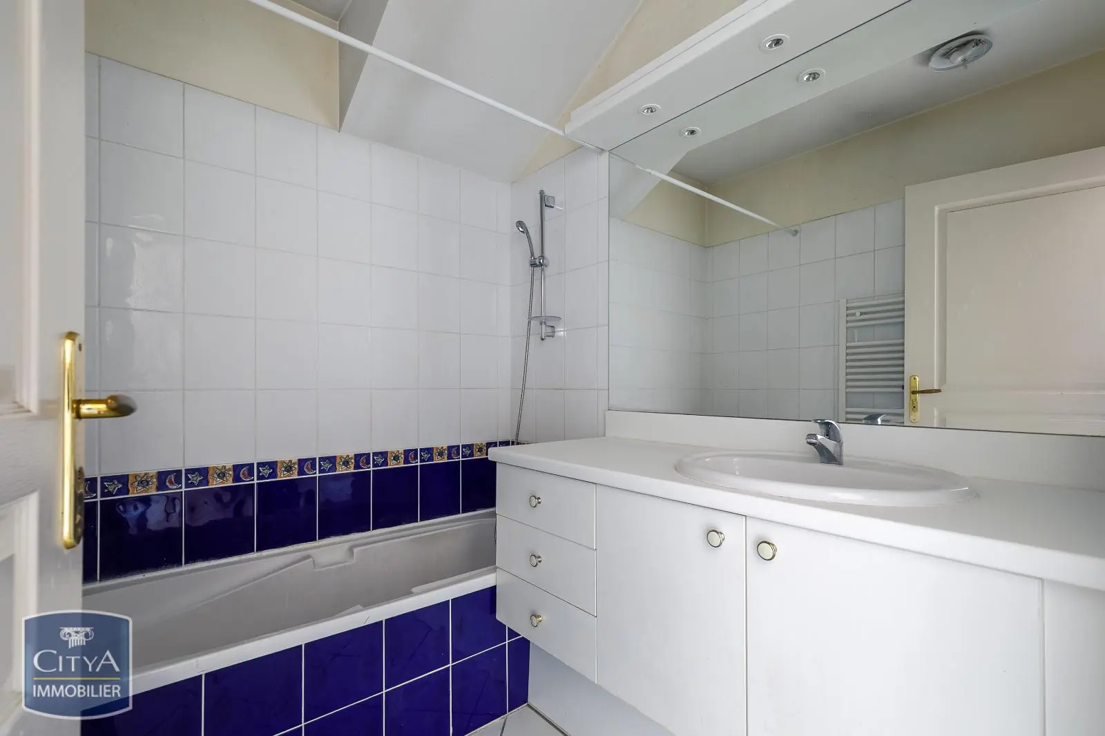 Photo 9 appartement Villeurbanne