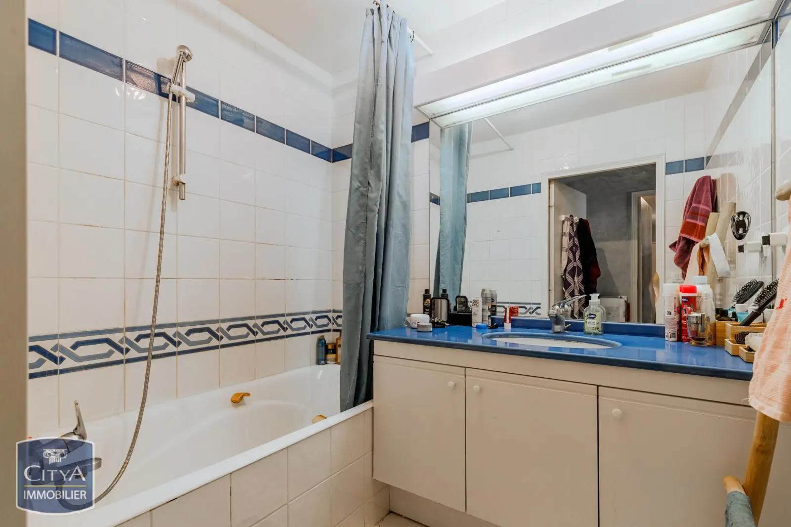 Photo 11 appartement Lyon 3e Arrondissement