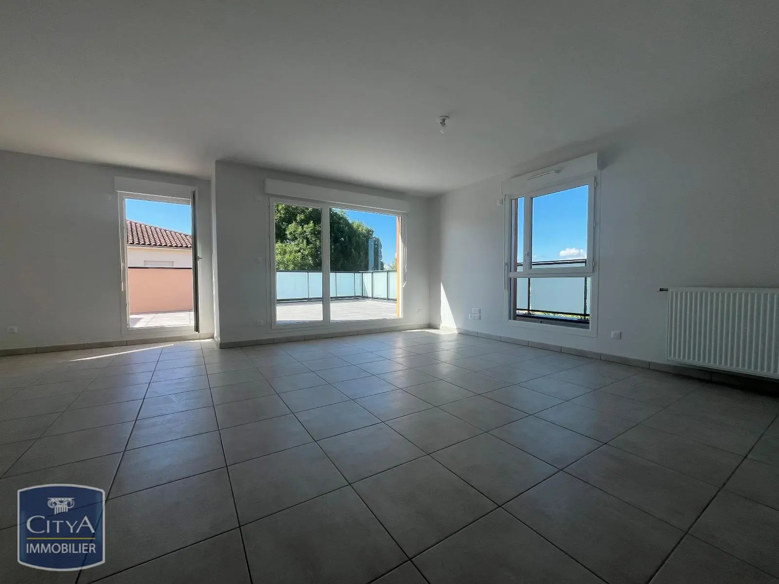 Photo 3 appartement Mionnay