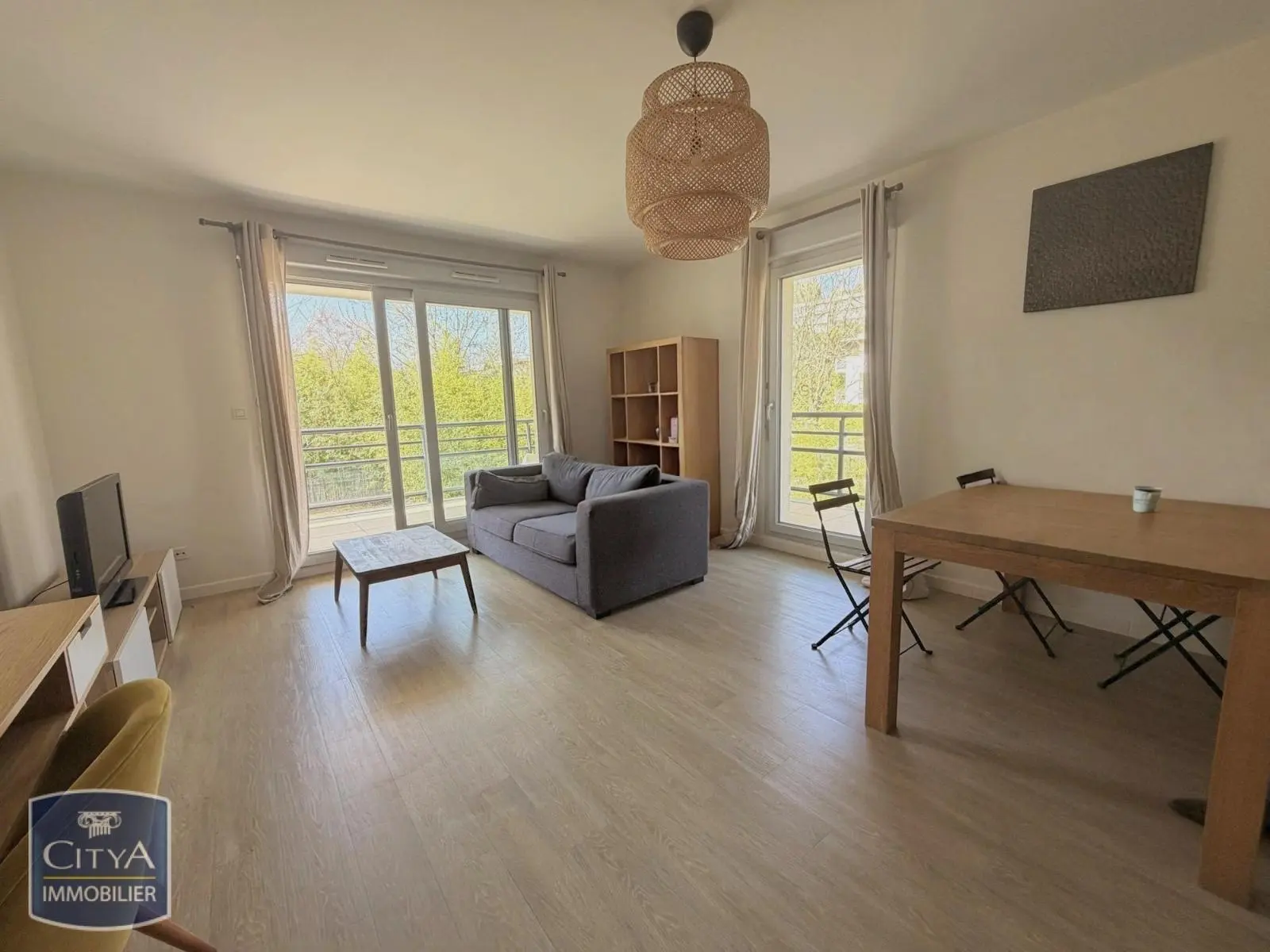 Photo 1 appartement Neuville-sur-Saône