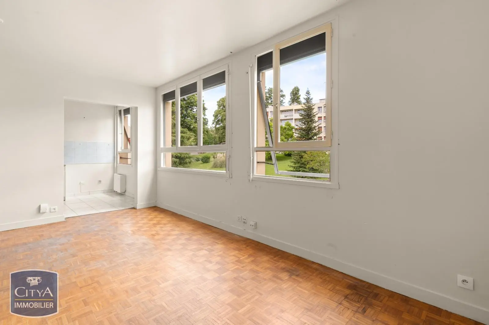 Photo 5 appartement Genay