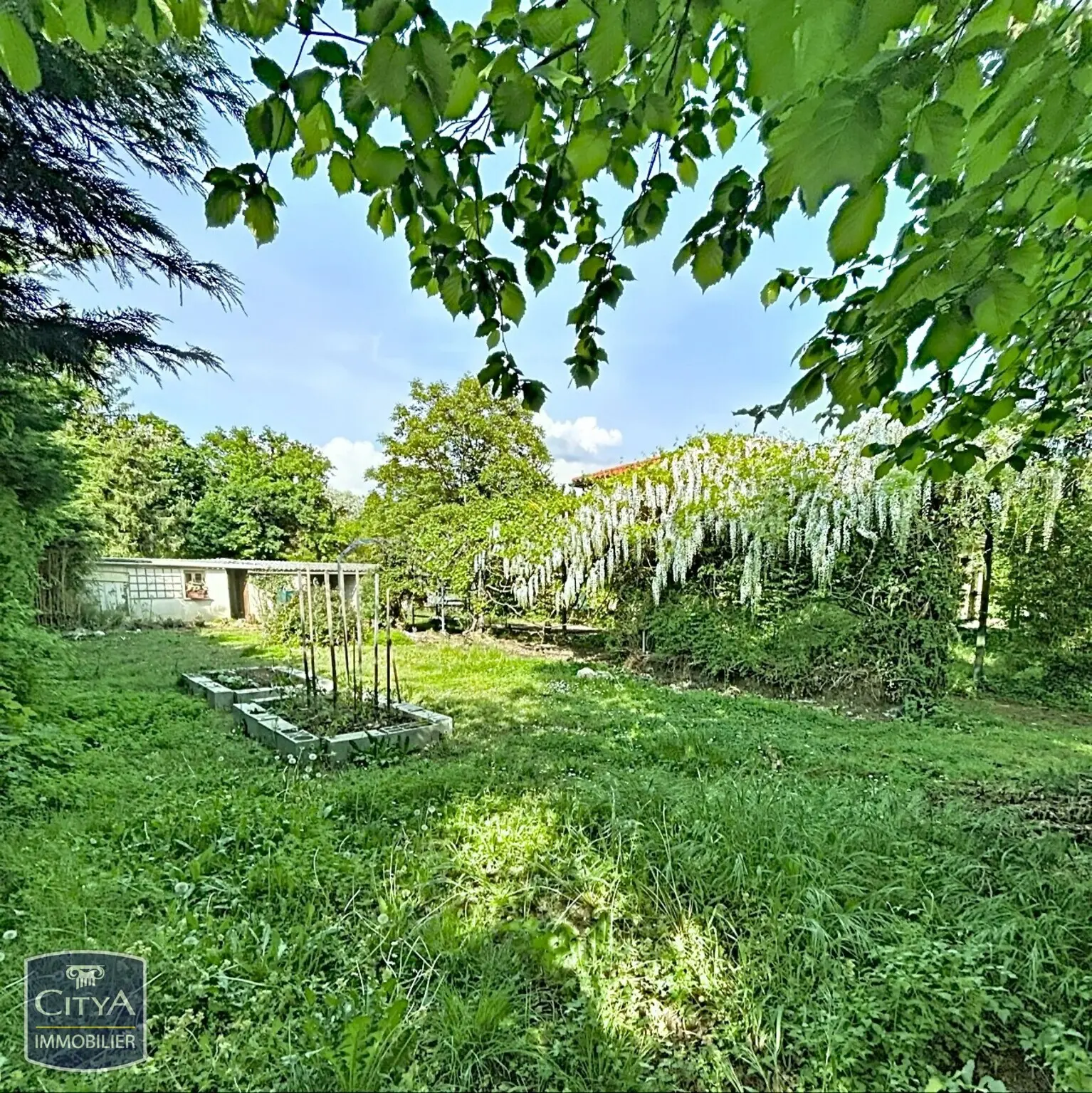 Photo 1 Terrain