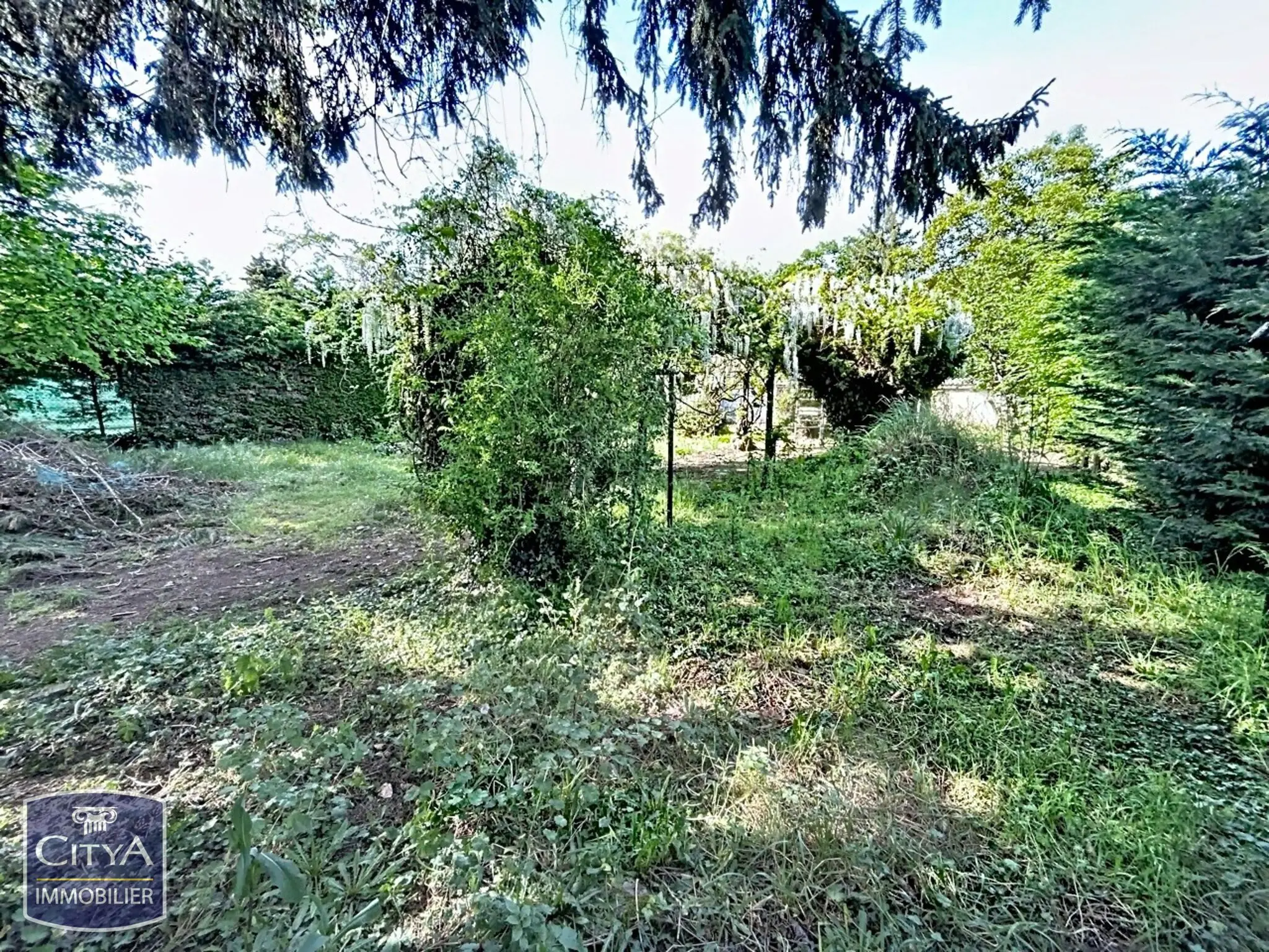 Photo 3 Terrain