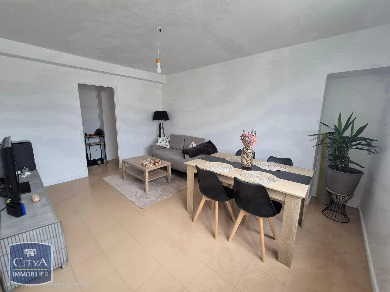 Photo 1 appartement Villeurbanne