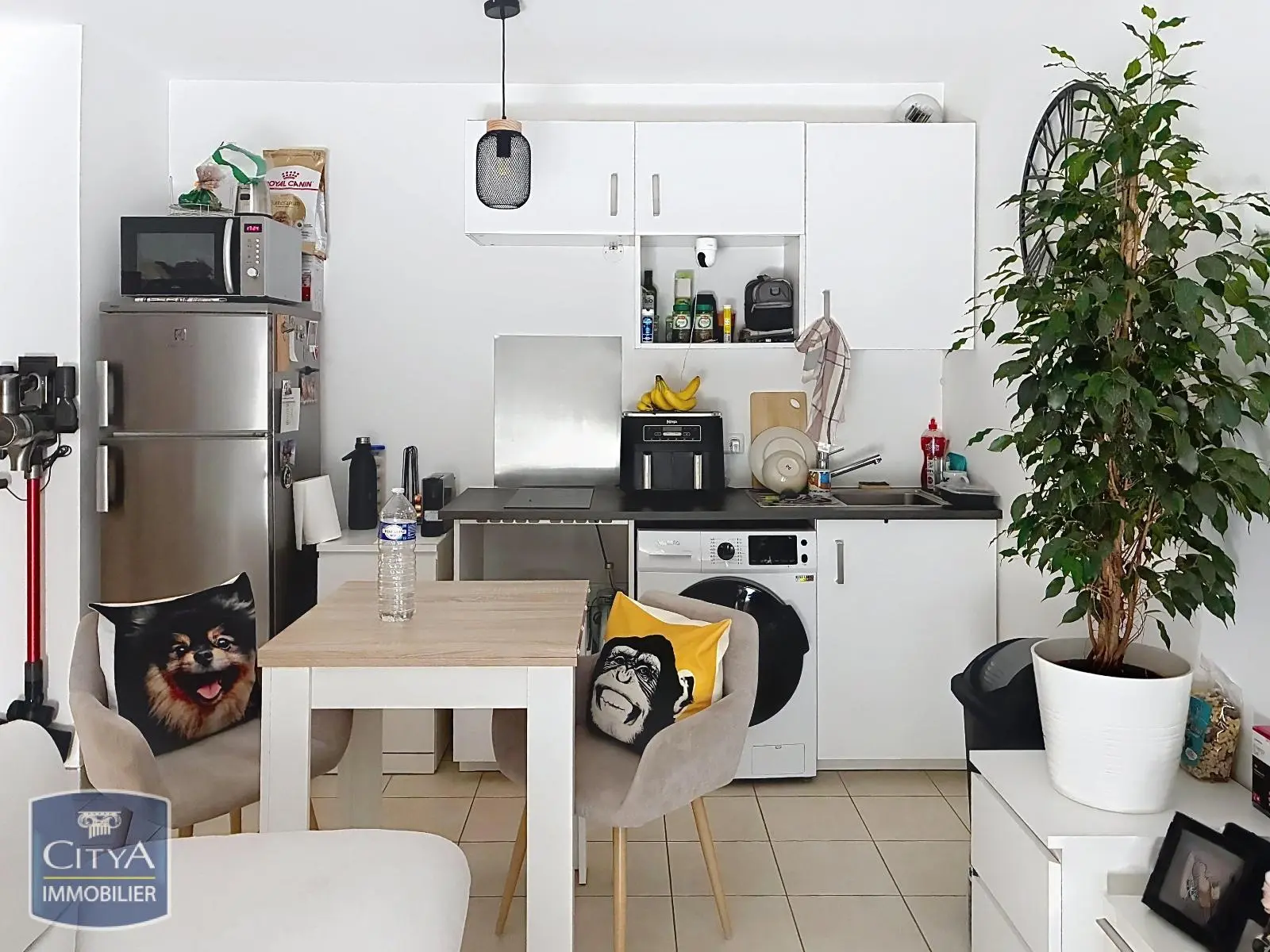 Photo 3 Appartement 1 pièce 33m²