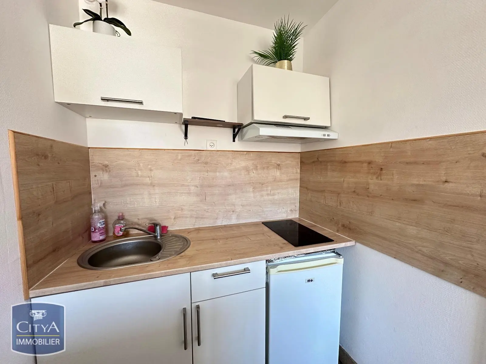 Photo 4 Appartement 1 pièce 25.48m²