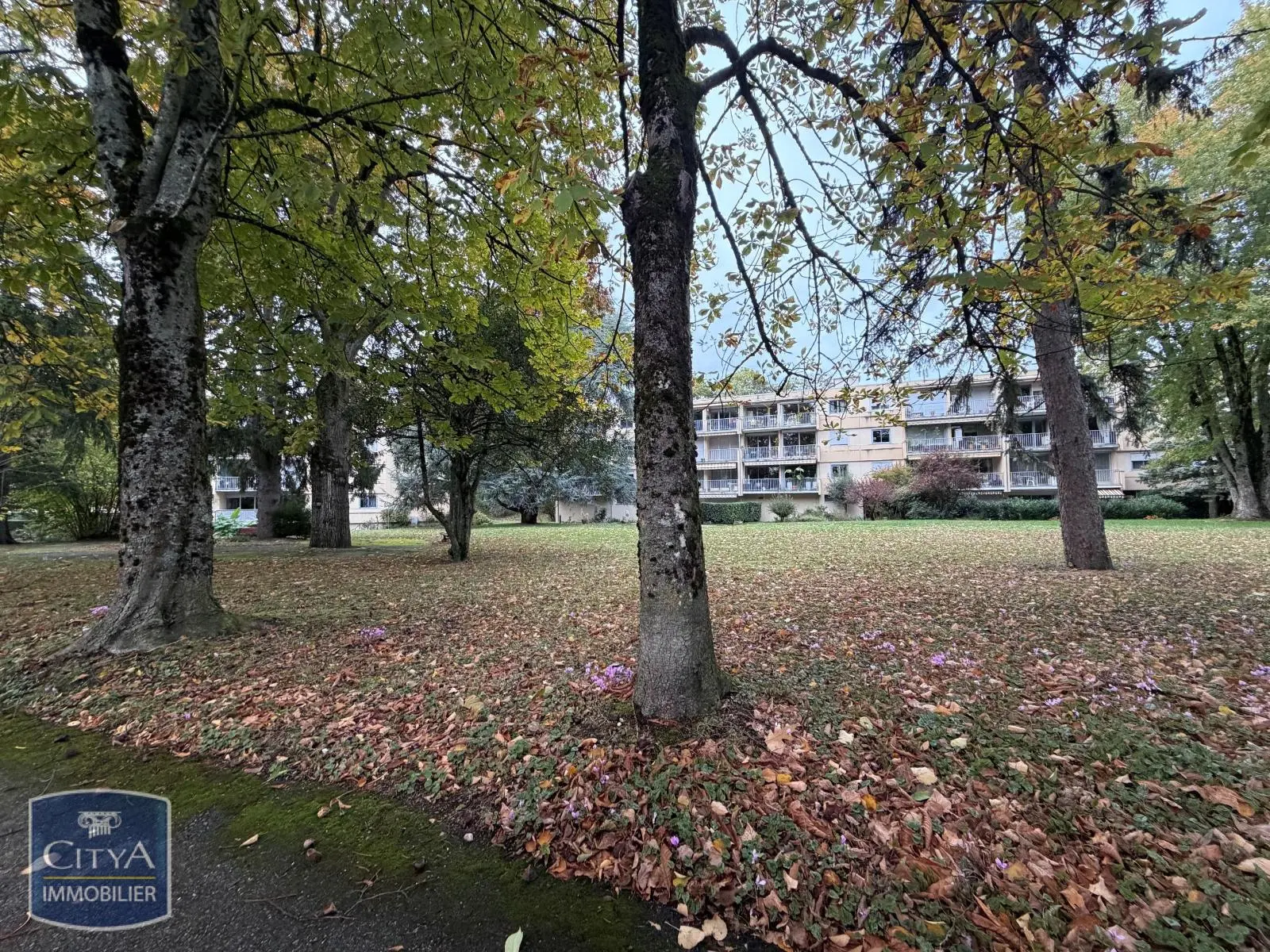 Photo 4 Appartement 1 pièce 31.78m²