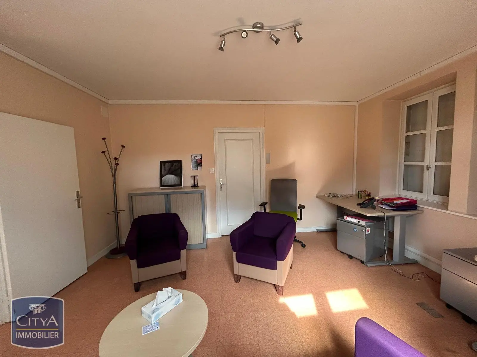 Photo 3 Local Professionnel