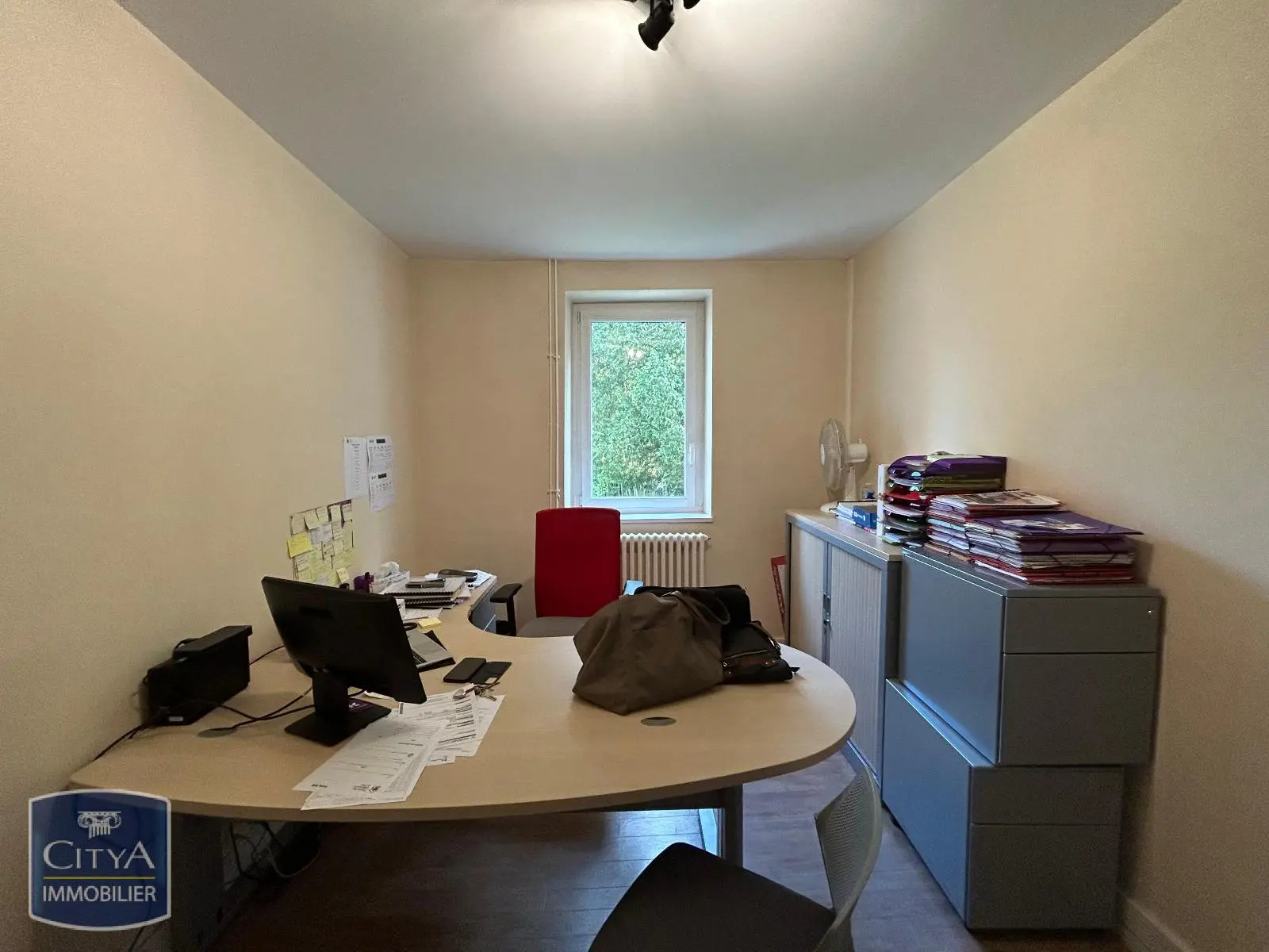 Photo 11 Local Professionnel