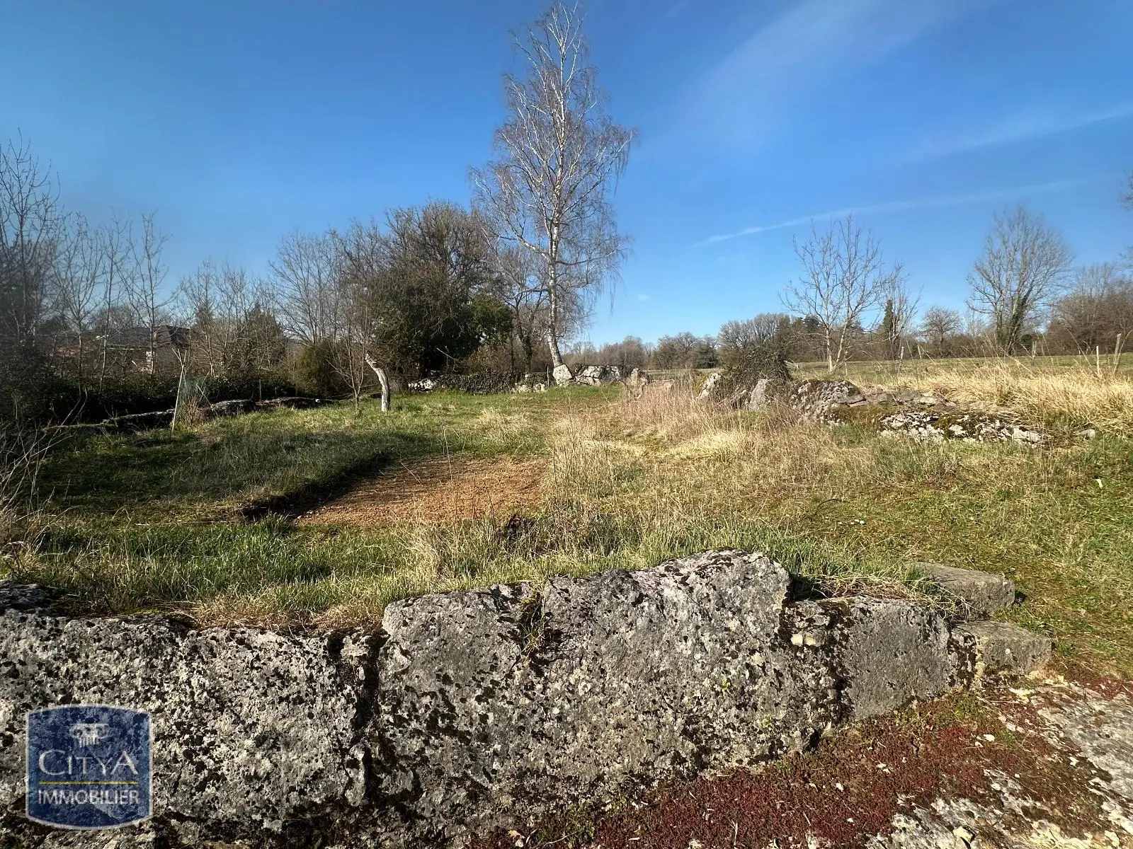 Photo 2 maison Simandre-sur-Suran