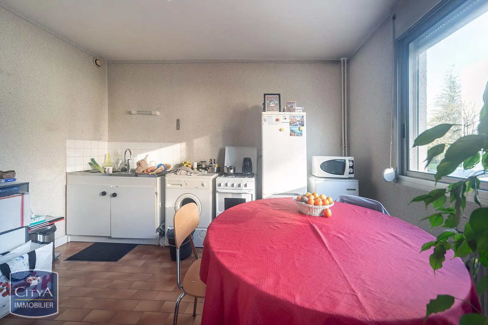 Photo 4 Appartement 1 pièce 36m²