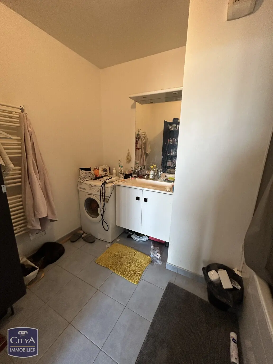 Noisy-le-Grand (93160) Appartement 2 pièces 45.5m² photo 2