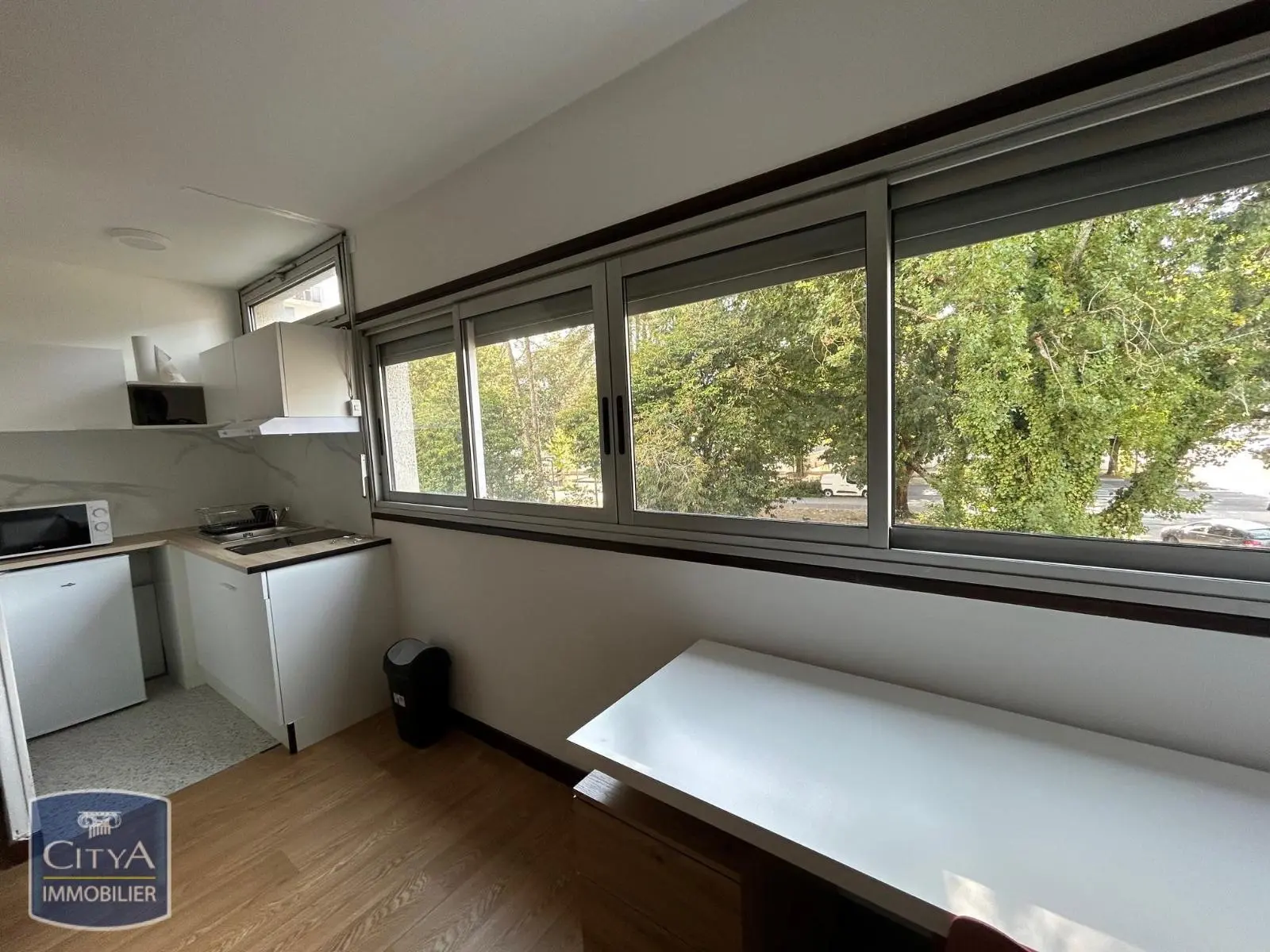 Photo 3 appartement Pau