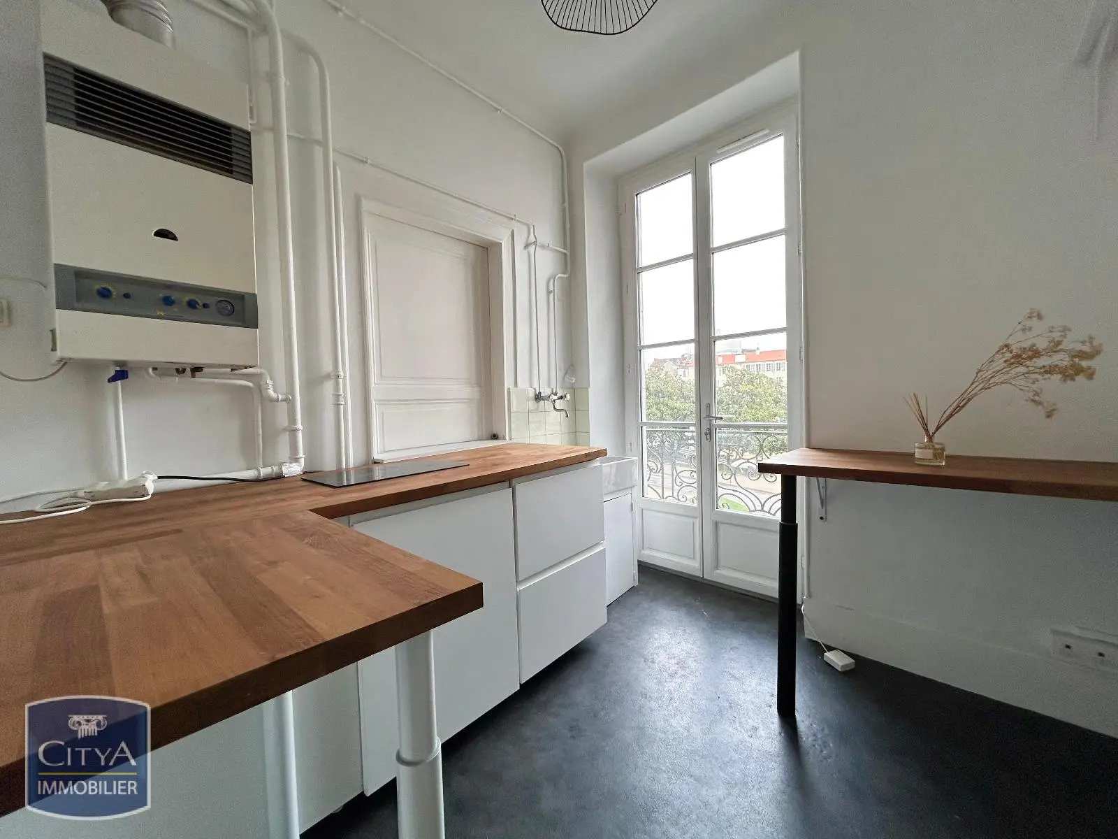 Photo 10 Local Professionnel