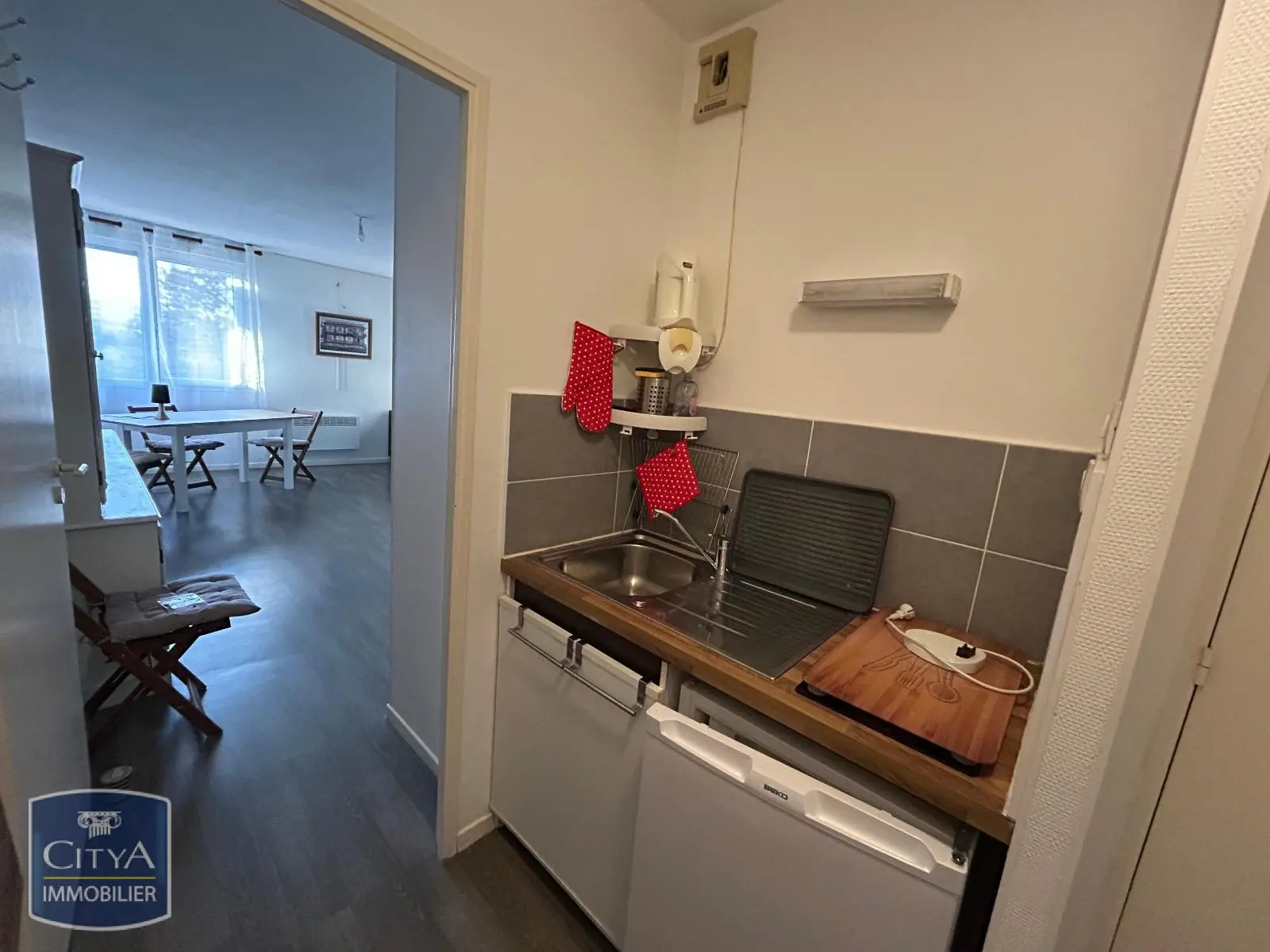 Photo 3 appartement Pau