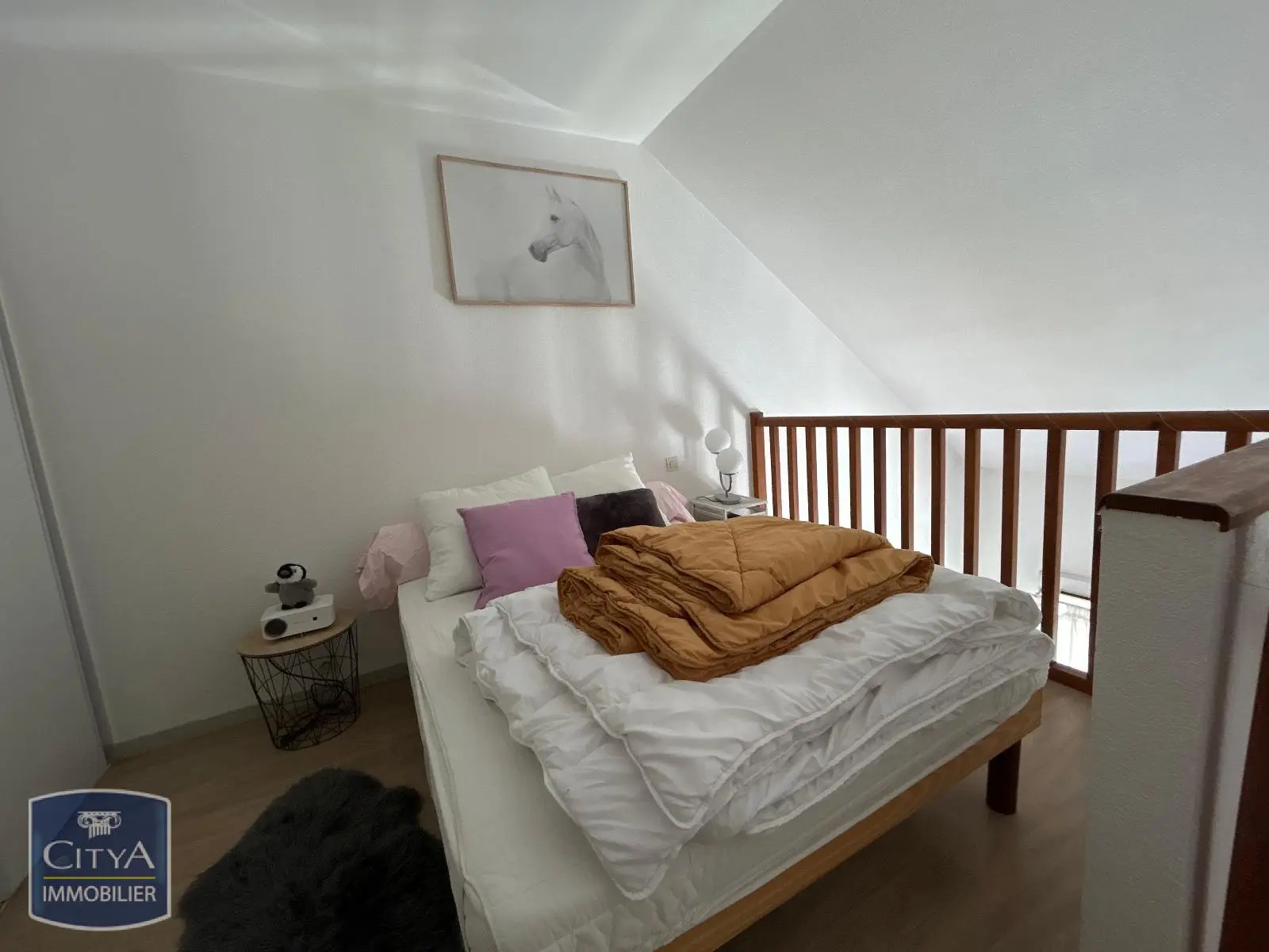 Photo 9 appartement Pau