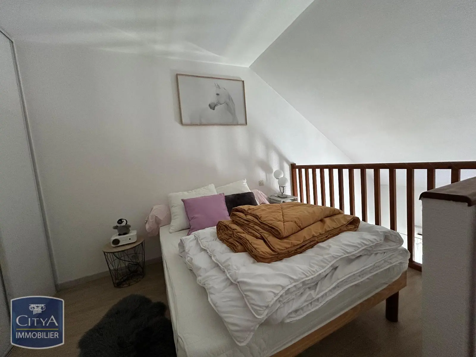 Photo 7 appartement Pau