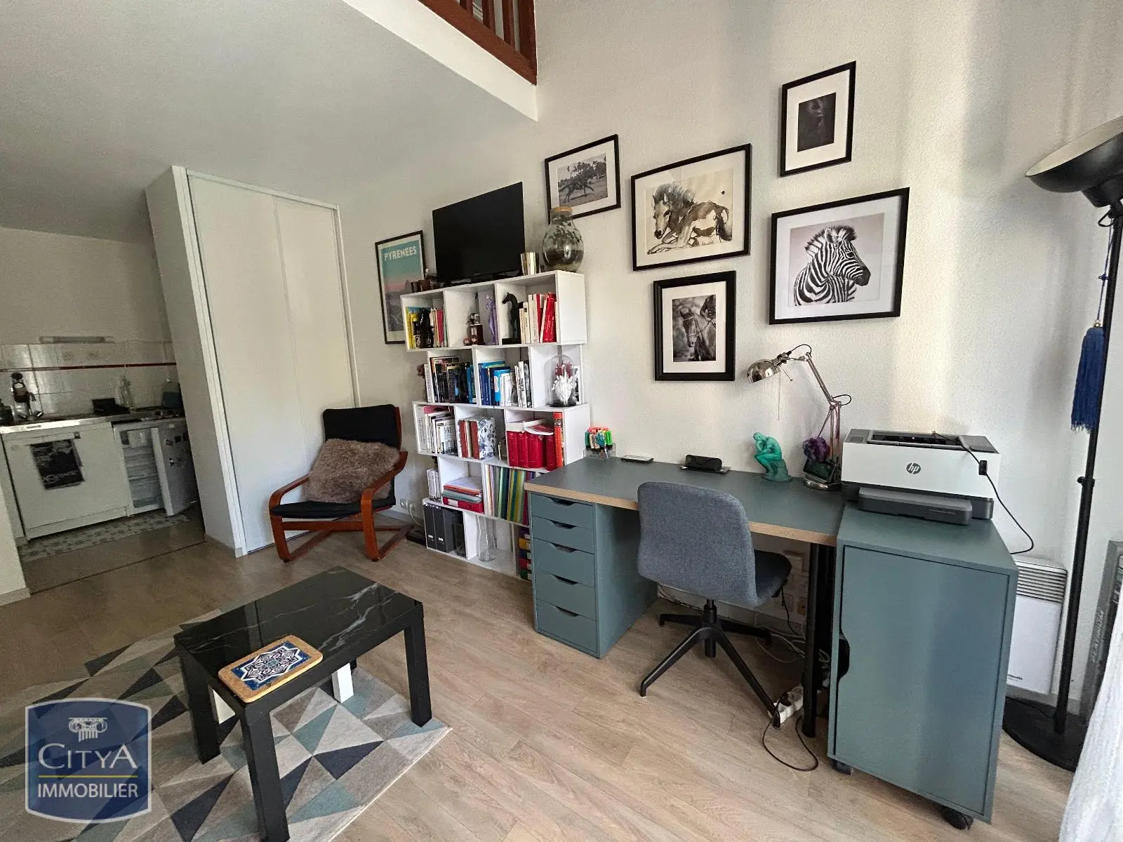 Photo 5 appartement Pau