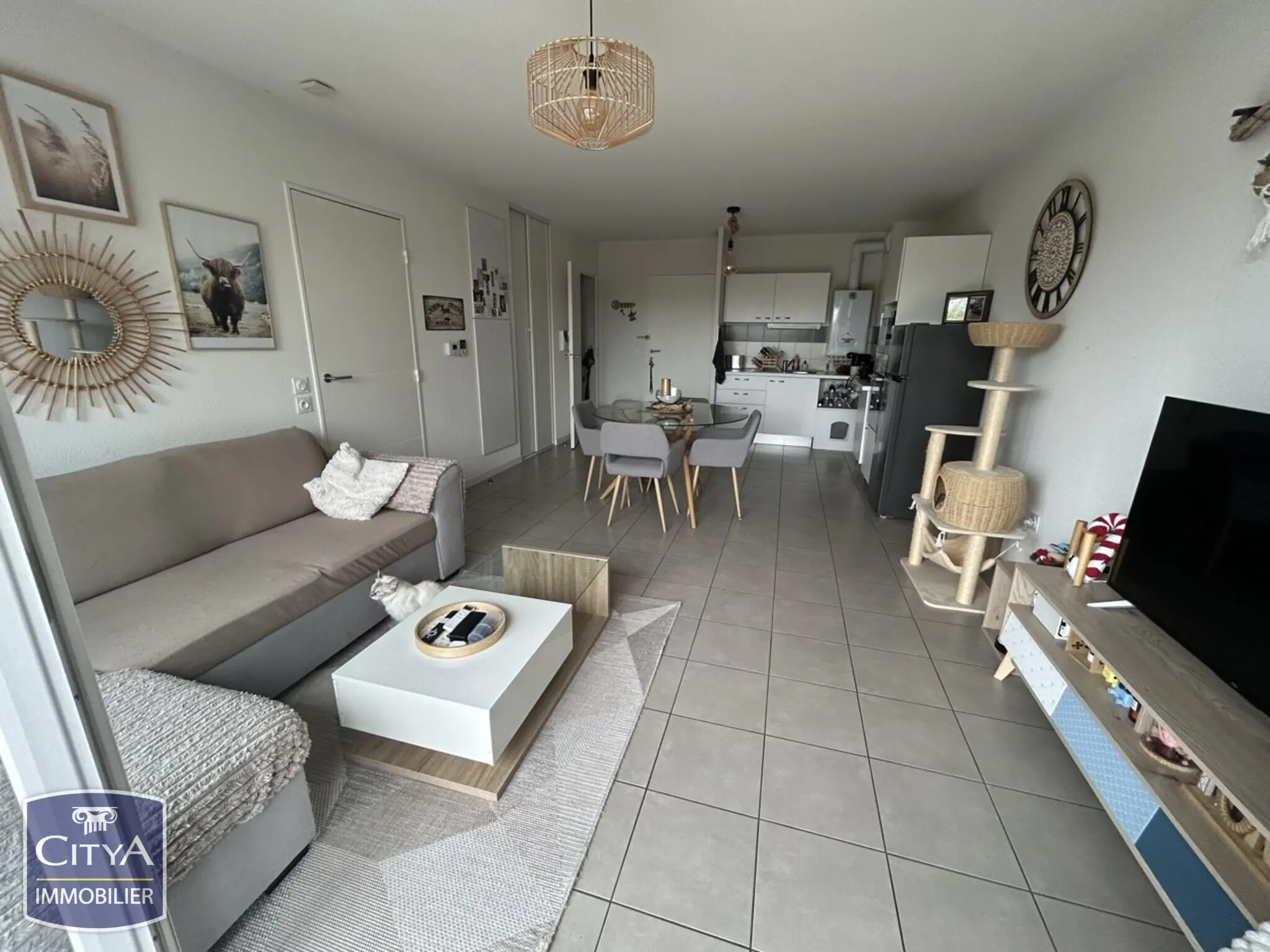 Photo 3 appartement Pau