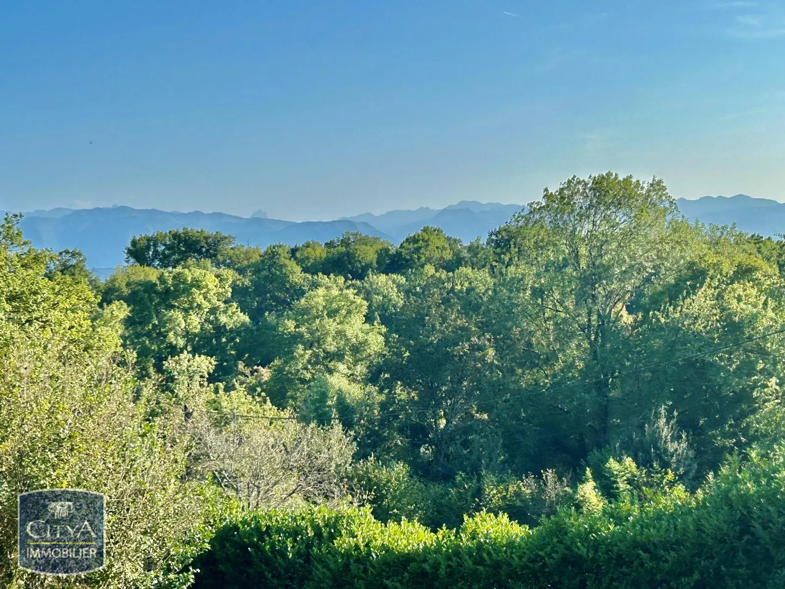 Photo 2 Terrain 2500m²
