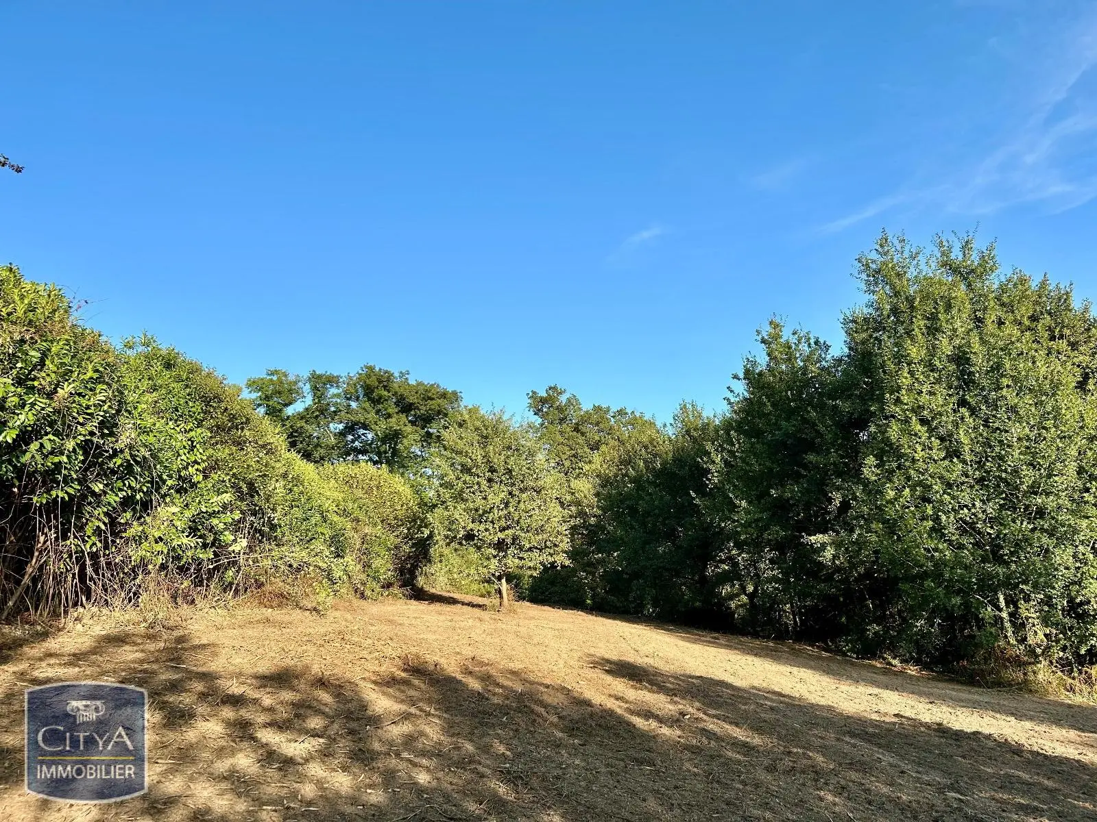 Photo 1 Terrain 2500m²