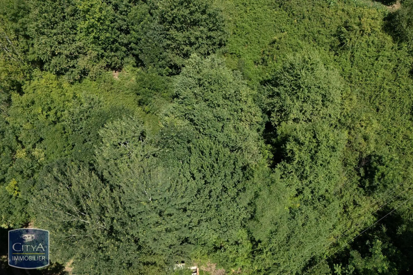 Photo 1 Terrain 2500m²