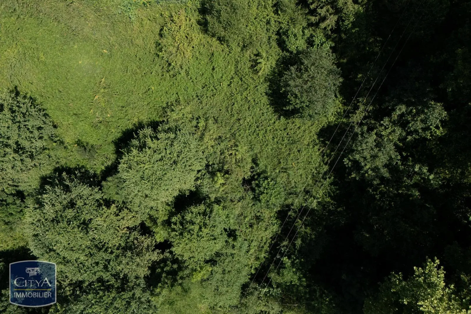 Photo 2 Terrain 2500m²
