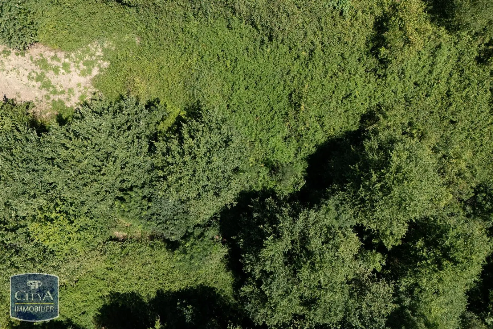 Photo 3 Terrain 2500m²