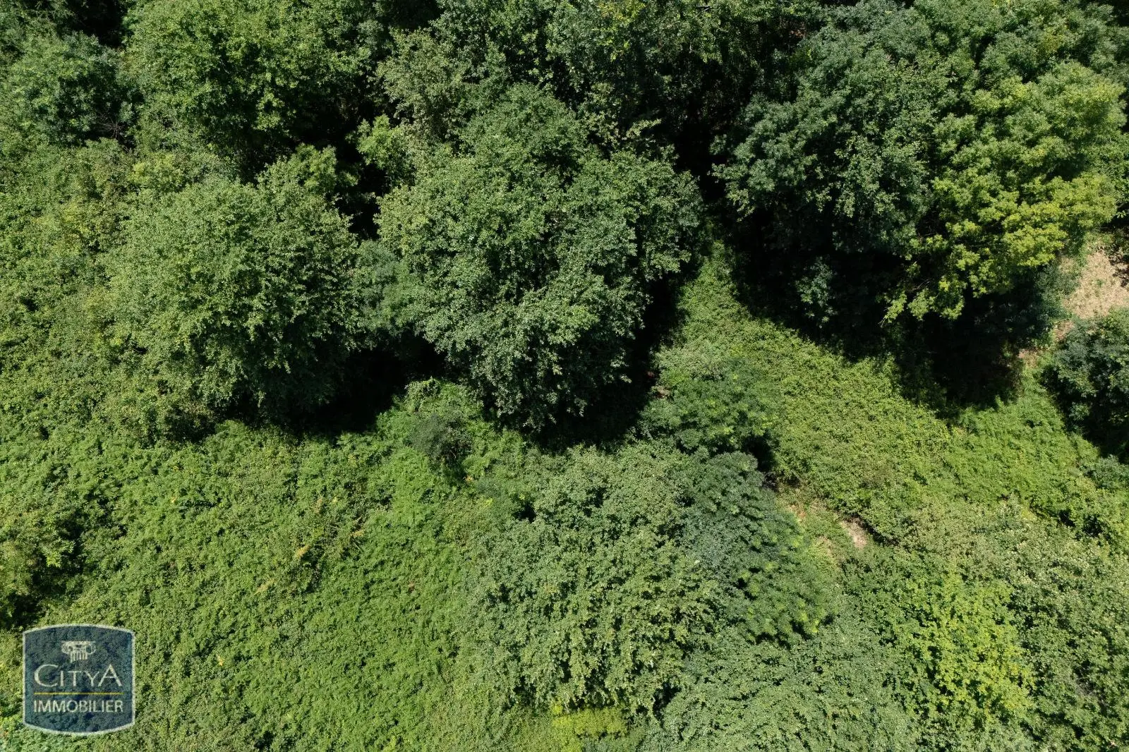 Photo 3 Terrain 2500m²
