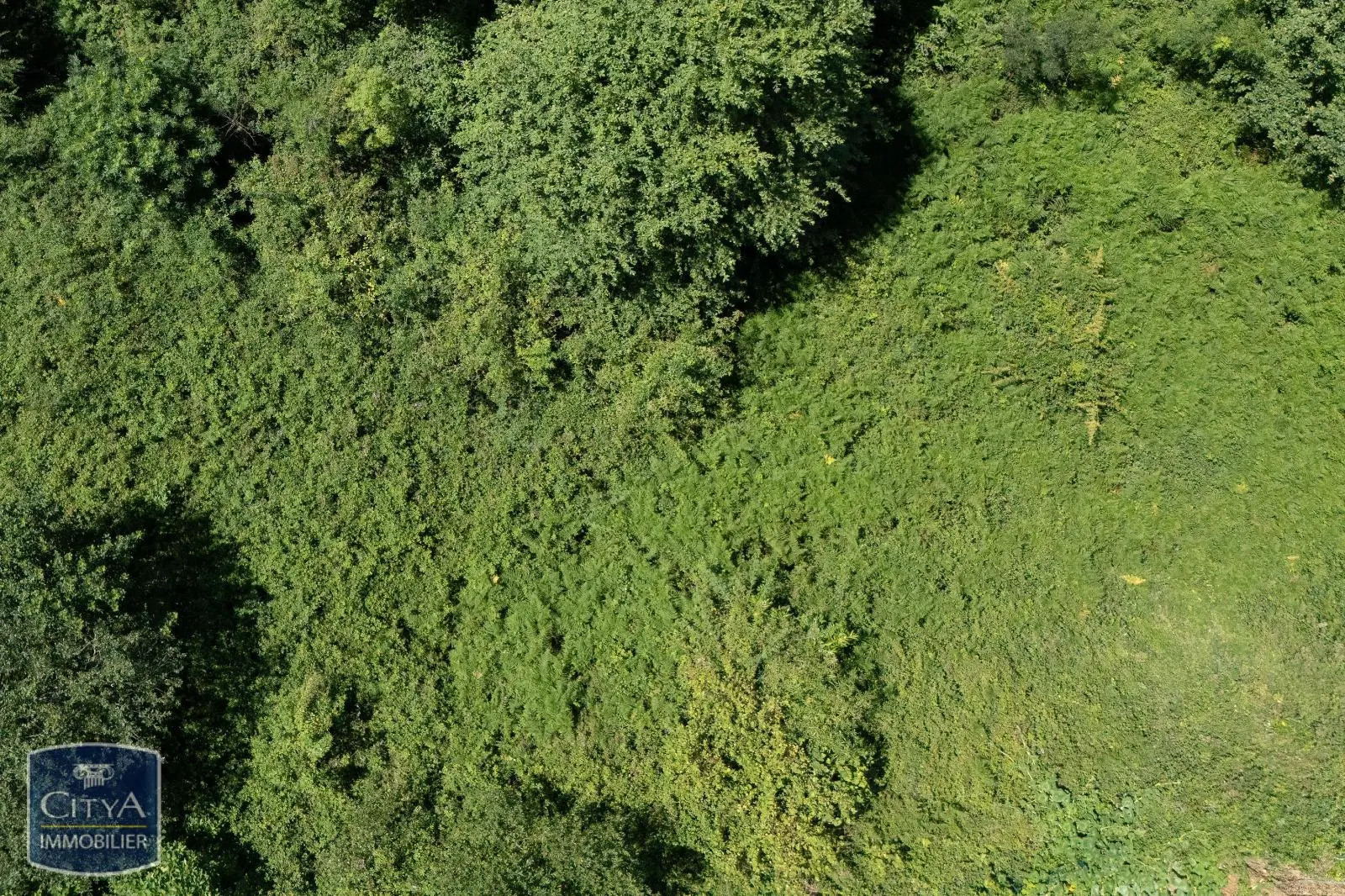 Photo 4 Terrain 2500m²