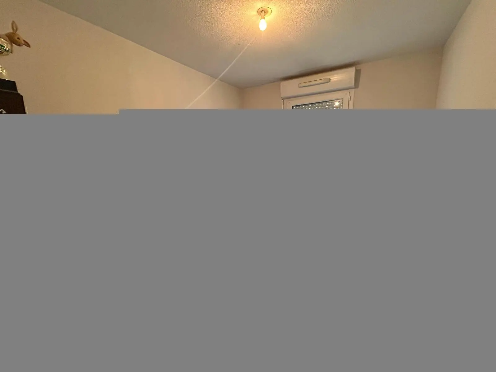 Photo 5 appartement Lescar