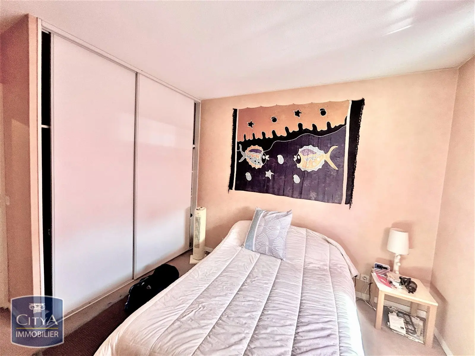 Photo 5 appartement Pau