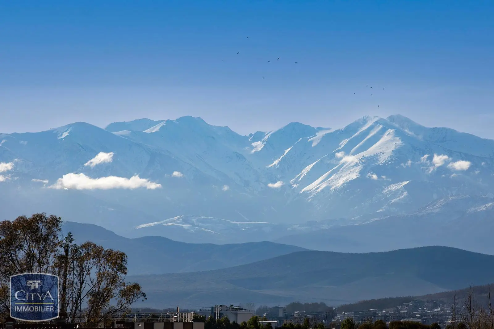 Photo 12 Appartement 2 pièces 50m²